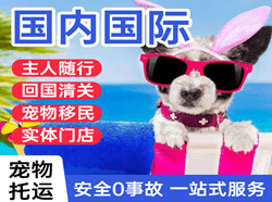 临汾航空邮寄国际宠物托运 【国